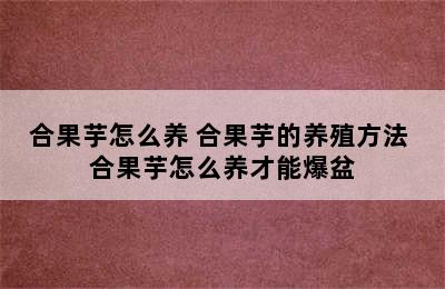 合果芋怎么养 合果芋的养殖方法 合果芋怎么养才能爆盆